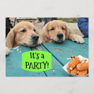 Golden Retriever Hund Es ist eine Party Einladung