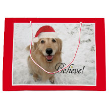 Golden retriever-Hund glauben Weihnachten