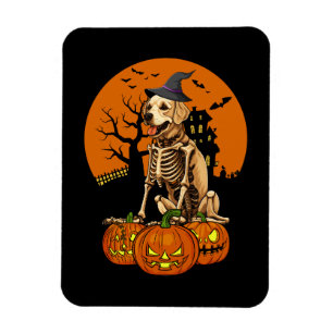 Golden Retriever Hund Halloween Magnet