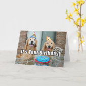 Golden Retriever Hund Happy Birthday Cake Karte (Gelbe Blume)