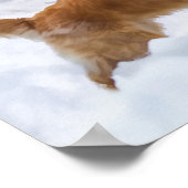 Golden Retriever Hund im Schnee Poster (Ecke)