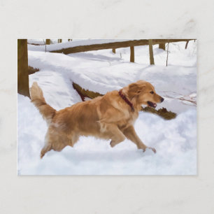 Golden Retriever Hund im Schnee Postkarte