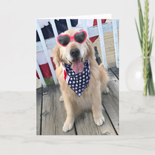 Golden retriever-Hund in den Karte