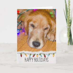 Golden Retriever Hund in Weihnachtsbeleuchtung Karte