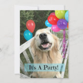 Golden Retriever Hund mit Balloons Custom Geburtst Einladung (Vorderseite)