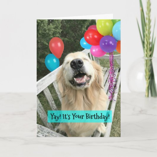 Golden Retriever Hund mit Balloons Geburtstag Karte (Vorderseite)