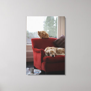 Golden Retriever Hund mit Ingwerkatze Leinwanddruck