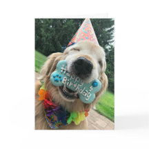 Golden Retriever Hund mit Leckerei Happy Birthday