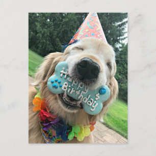 Golden Retriever Hund mit Leckerli Alles Gute zum  Postkarte