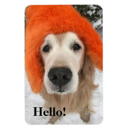 Golden Retriever Hund mit Orange Fuzzy Hat im Schn Magnet