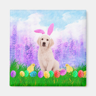 Golden Retriever Hund mit Ostereiern Bunny Chicks Magnet