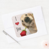 Golden Retriever Hund mit Rote Rose I Liebe Sie Quadratischer Aufkleber (Umschlag)