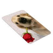 Golden Retriever Hund mit Rote Rose Magnet (Rechte Seite)