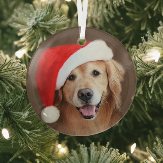 Golden Retriever Hund mit roter Weihnachtsmannmütz Ornament Aus Glas (InSitu)