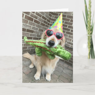 Golden Retriever Hund mit Toy Happy Birthday Karte