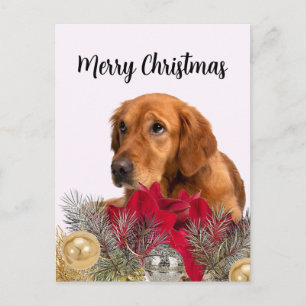Golden Retriever Hund mit Weihnachtsdekorationen Postkarte