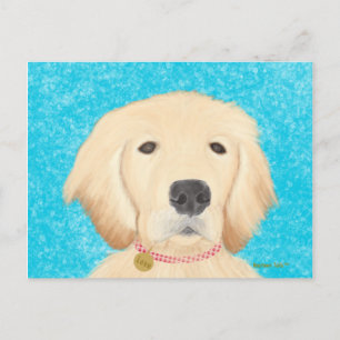 Golden Retriever Hund Postkarte Blaues Wasser