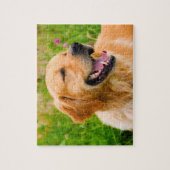 Golden Retriever Hund . Puzzle (Vertikal)