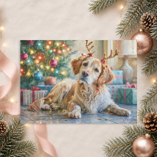 Golden Retriever Hund Rentiergeweih Weihnachten 