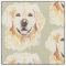 Golden Retriever Hund Tierwerbung