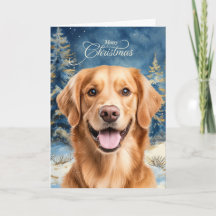 Golden Retriever Hund Waldweihnachten