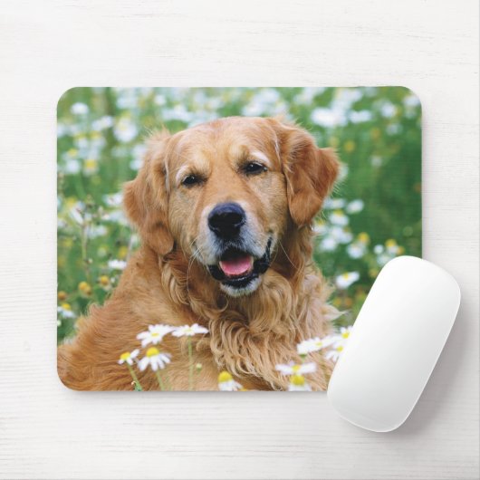 Golden retriever-Hündchen Mousepad (Mit Mouse)
