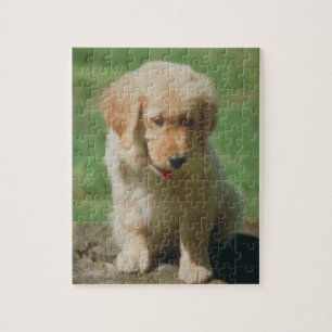 Golden retriever-Hündchen-Puzzlespiel Puzzle