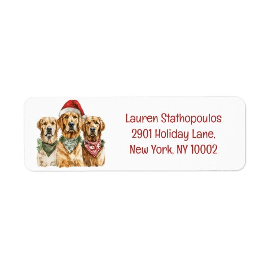 Golden Retriever Hunde (Vorne)
