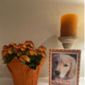 Golden Retriever Hunde Erntedank Card Karte