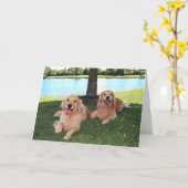 Golden Retriever Hunde im Park HABEN EINEN Happy D Karte (Gelbe Blume)