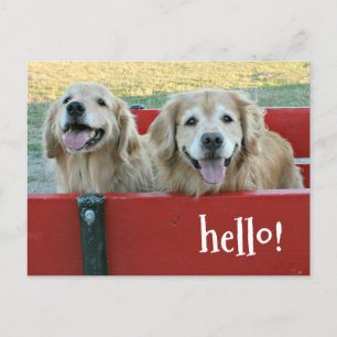 Golden Retriever Hunde in Red Wagon Denken Sie an  Postkarte
