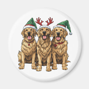 Golden Retriever Hunde Magnet