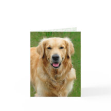 Golden Retriever - Hunde Sympathie Card