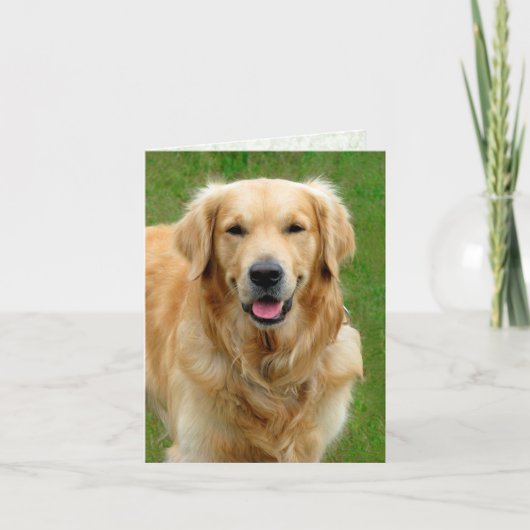 Golden Retriever - Hunde Sympathie Card Karte (Vorderseite)
