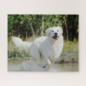 Golden Retriever Hunde Tier glücklich läuft Puzzle (Horizontal)