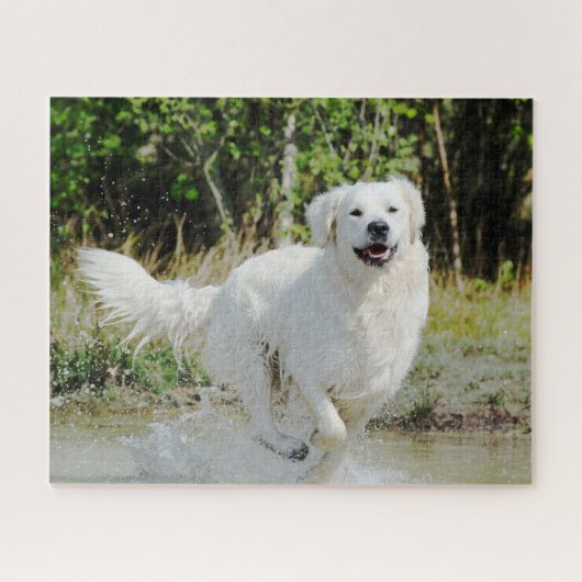 Golden Retriever Hunde Tier glücklich läuft Puzzle (Horizontal)
