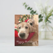 Golden Retriever Hunde Weihnachten (Stehend Vorderseite)