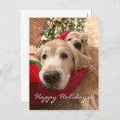 Golden Retriever Hunde Weihnachten (Vorne/Hinten)