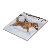 Golden retriever-Hundefliese Fliese (Seite)