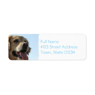 Golden retriever-HundePostsendung-Aufkleber
