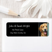 Golden Retriever Hundeschrift (Insitu)