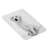 Golden Retriever i Magnet (Rechte Seite)