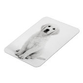 Golden Retriever i Magnet (Linke Seite)