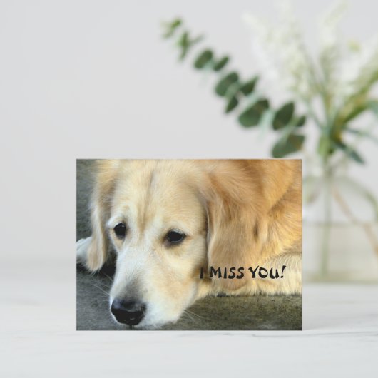 Golden Retriever/I Miss You Postkarte (Stehend Vorderseite)