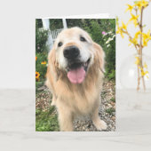 Golden Retriever im Blumengarten Denken Sie an Sie Karte (Gelbe Blume)