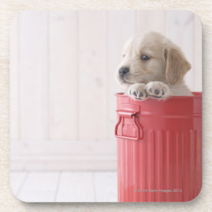Golden retriever im Eimer Getränkeuntersetzer