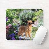 Golden retriever im Garten Mousepad (Mit Mouse)