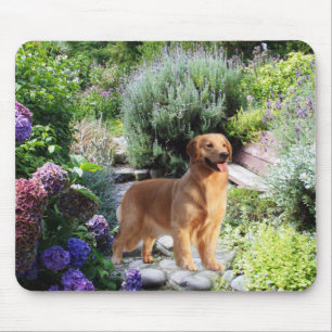 Golden retriever im Garten Mousepad