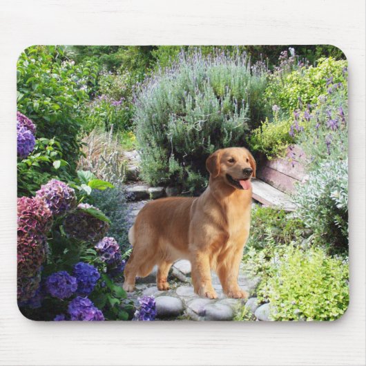 Golden retriever im Garten Mousepad (Vorne)