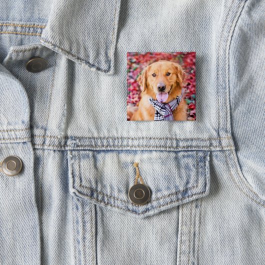 Golden Retriever im Locarno Button (Beispiel)